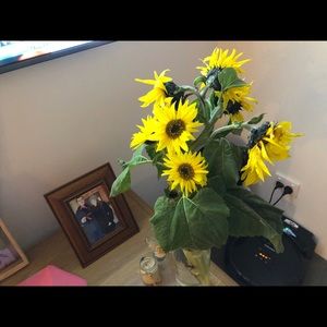 Meet your Posher, Leanne